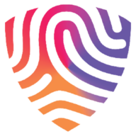BigID integration with Surf AI